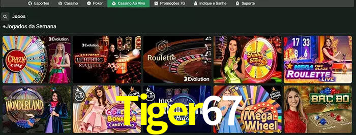 Tiger67 bet